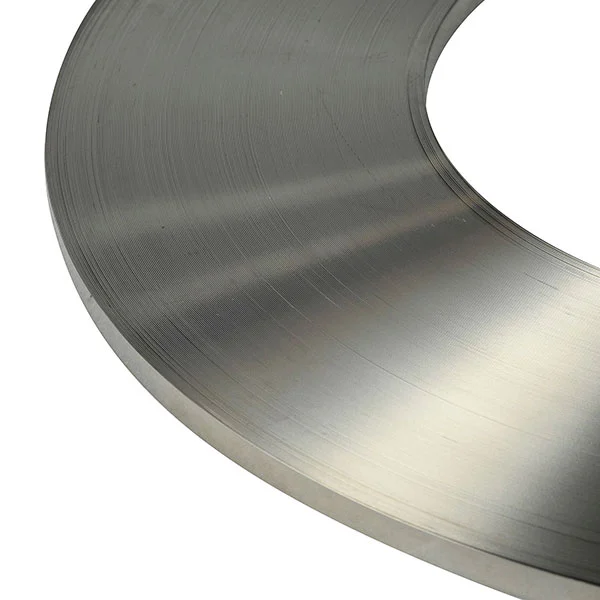 Stainless Steel Spring Strip