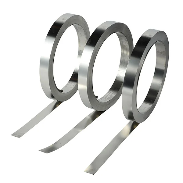 Stainless Steel Spring Strip